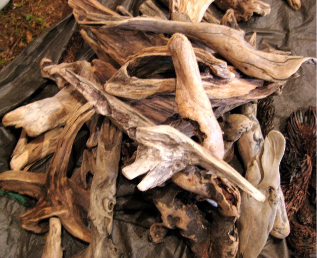 Large Case Of Pacific Coast Driftwood 20 Assorted Pieces